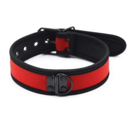 Adjustable Nylon D Ring Collar Choker